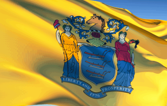 Close up of the New Jersey state flag.
