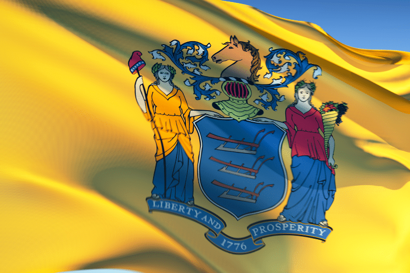 Close up of the New Jersey state flag.